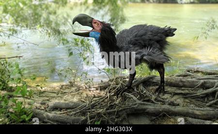 Un'illustrazione di Gastornis (Bird del terrore) su un bordo del fiume. I Gastornis sono un genere estinto di grandi uccelli preistorici senza luce. Foto Stock