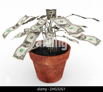 Albero dei soldi un'illustrazione relativa alla ricchezza crescente o alla frase sulla frugalità 'il money non si sviluppa sugli alberi' come una rappresentazione di un albero dei soldi in vaso. Foto Stock
