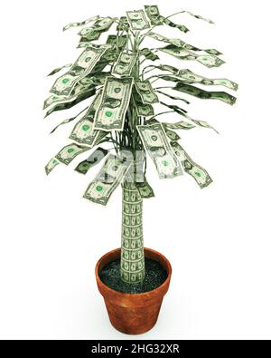 Albero dei soldi un'illustrazione relativa alla ricchezza crescente o alla frase sulla frugalità 'il money non si sviluppa sugli alberi' come una rappresentazione di un albero dei soldi in vaso. Foto Stock