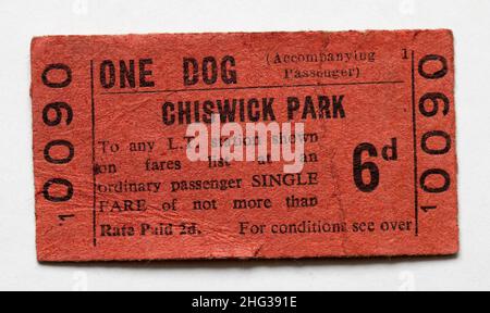 Biglietto vintage 1960s London Transport Railway per un cane dalla stazione di Chiswick Park Foto Stock