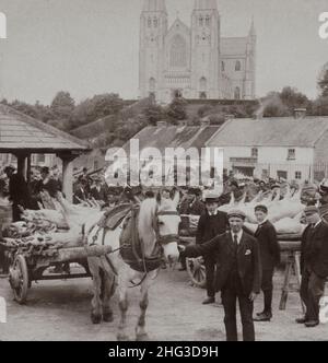 Foto di archivio di maiale vestito per la spedizione nel mercato irlandese, a nord-ovest della cattedrale di Armagh. Armagh, Irlanda. 1900s Foto Stock