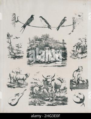 Disegni vintage di animali domestici, uccelli e insetti. 1860 le illustrazioni del 19th secolo di rondini, tacchini, tacchini, un gatto con gattini, mucche, pecore, un was Foto Stock