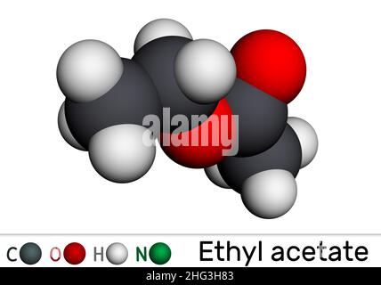 Acetato di etile, etanoato di etile, molecola C4H8O2. Si tratta di acetato estere formato tra acido acetico ed etanolo. Modello molecolare. 3D rendering. Illustrati Foto Stock