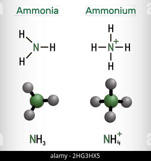 Ammonio catione, NH4 e ammoniaca, molecola NH3. Formula chimica strutturale e modello molecolare. Illustrazione vettoriale Illustrazione Vettoriale