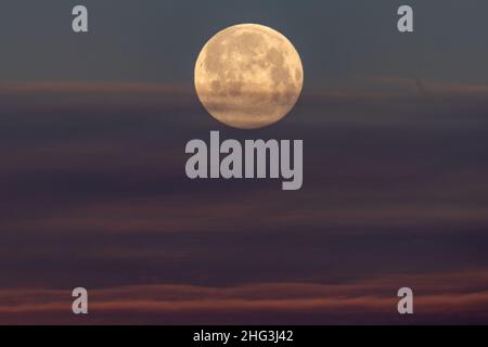 Londra, Regno Unito. 18th Jan 2022. UK Meteo: Wolf Moon o 99,9% luna piena tramonta sulla città. Credit: Guy Corbishley/Alamy Live News Foto Stock