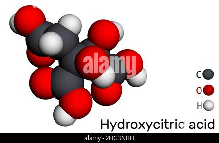 Acido idrossicitrico, molecola di HCA. È derivato dell'acido citrico. Modello molecolare. 3D rendering. Illustrazione Foto Stock