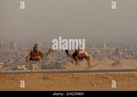 CAIRO, EGITTO - 17 NOVEMBRE 2018: Сamel cavalieri sulla collina con il Cairo paesaggio urbano sullo sfondo Foto Stock