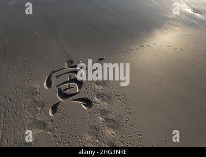 Anno della Tigre, 寅, Calligraphy spiaggia di Andrew van der Merwe. Foto Stock