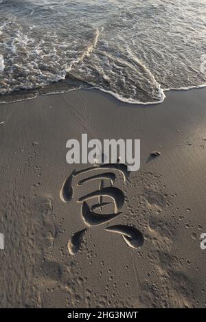 Anno della Tigre, 寅, Calligraphy spiaggia di Andrew van der Merwe. Foto Stock