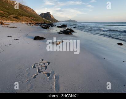 Anno della Tigre, 寅, Calligraphy spiaggia di Andrew van der Merwe. Foto Stock