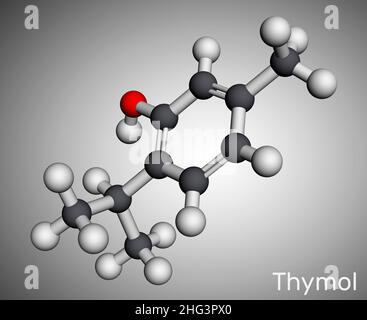 Timolo, molecola IPMP. È il fenolo, derivato naturale del monoterpene della cymene. Ottenuto da olio di timo o da altri oli volatili. Modello molecolare. 3D ren Foto Stock