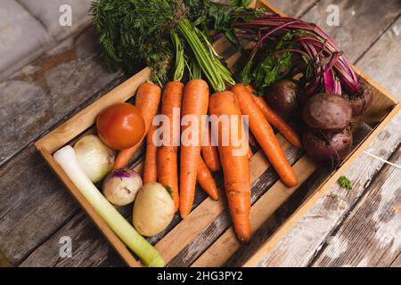 Vista ad angolo alto di varie verdure fresche raccolte in vassoio di legno sul tavolo Foto Stock