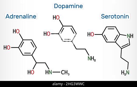 Adrenalina (epinefrina), dopamina (da), molecole di serotonina. Neurotrasmettitori monoamminici, neuromodulatori, farmaci. Formula chimica strutturale. Illustrazione Vettoriale