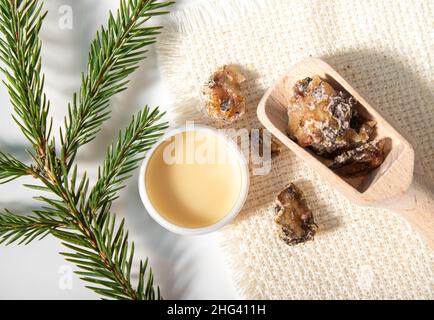 Abete Picea abies resina medicinale a base di erbe lozione in vaso e pezzi su cucchiaio di legno, decorato con rami di abete fresco. Utilizzando resina di abete rosso. Foto Stock