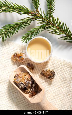 Abete Picea abies resina medicinale a base di erbe lozione in vaso e pezzi su cucchiaio di legno, decorato con rami di abete fresco. Utilizzando resina di abete rosso. Foto Stock