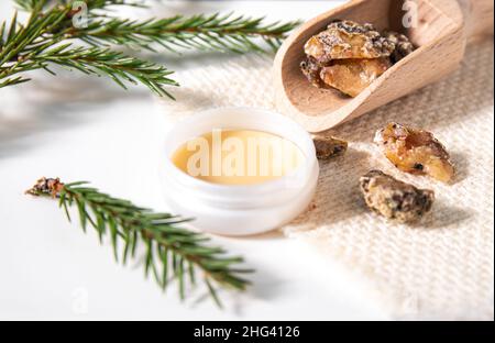 Abete Picea abies resina medicinale a base di erbe lozione in vaso e pezzi su cucchiaio di legno, decorato con rami di abete fresco. Utilizzando resina di abete rosso. Foto Stock