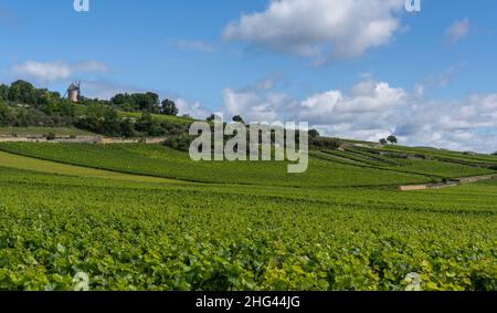 Il mulino di Santenay in Borgogna in Francia con grandi vigneti in un giorno d'estate. Foto Stock