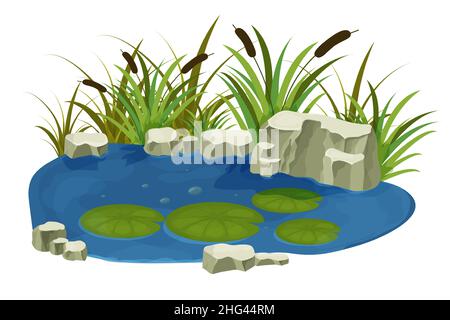 Lago, palude con pietre, giglio di torrush foglie in stile cartone animato isolato su sfondo bianco. Scena fantasy foresta, natura selvaggia. Illustrazione vettoriale Illustrazione Vettoriale