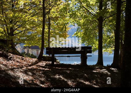 Panchina al Lago Raibler nelle Alpi vicino Tarvisio in autunno, Italia. Foto Stock