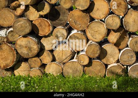 Pila di legno sull'erba. Cumulo di legno nel villaggio Foto Stock