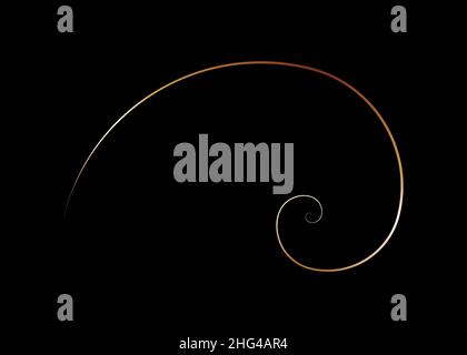 Golden ratio. Spirale di Fibonacci, sezione dorata, proporzione divina, guscio di Nautilus d'oro che mostra spirale, illustrazione vettoriale sfondo nero isolato Illustrazione Vettoriale