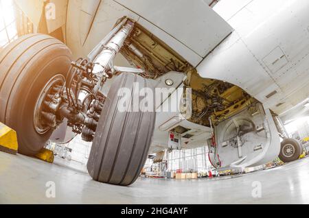 Carrello di atterraggio aereo in gomma telaio hangar primo piano. Foto Stock