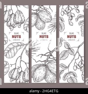 Set di tre etichette con pistacchio, albero di cocco e anacardi. Serie culinaria NUTS. Illustrazione Vettoriale