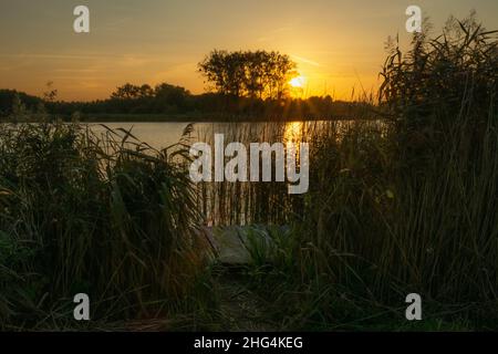 Tramonto su un lago tranquillo con un molo e alte canne Foto Stock