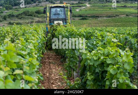 Santenay, Francia - 2 luglio 2020: Macchina, trattore, utilizzato sui vigneti di Santenay, borgogna, Francia. Foto Stock