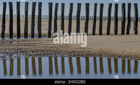 Plage de Sangatte et Wissant, pieux de bois sur la plage, traghetto pour l'Angleterre. Foto Stock