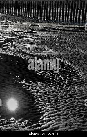 Plage de Sangatte et Wissant, pieux de bois sur la plage, traghetto pour l'Angleterre. Foto Stock