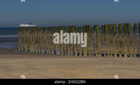 Plage de Sangatte et Wissant, pieux de bois sur la plage, traghetto pour l'Angleterre. Foto Stock