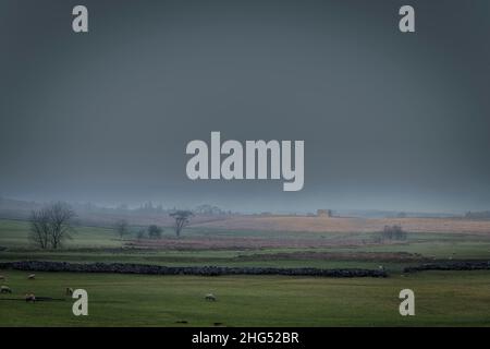 Un inverno HDR di una scena rurale opaca, umida e nebulosa vicino a Kirkby Stephen in Cumbria, Inghilterra. 17 gennaio 2022 Foto Stock