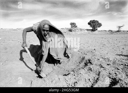 B/N di una donna Tigrayan scavando per terrazzare terra arida per prevenire l'erosione del suolo su un programma di cibo-per-lavoro. Wukro, Tigray, Etiopia Foto Stock