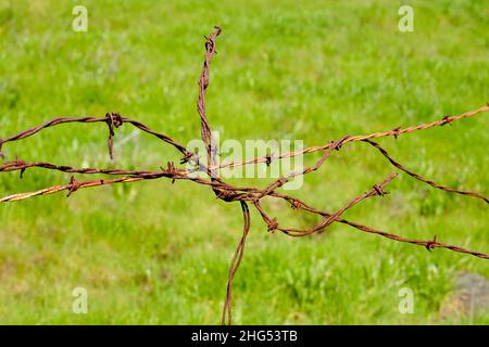 Nodo di Rusty filo barbato sulla collina di erba verde Foto Stock