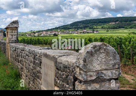 Chassagne-Montrachet, Francia - 29 giugno 2020: Vigneto Domaine Jacques Prieur con cancello e muro in Borgogna, Francia. Foto Stock