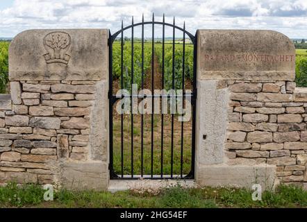 Chassagne-Montrachet, Francia - 29 giugno 2020: Vigneto Batard-Montrachet con cancello in Borgogna, Francia. Foto Stock