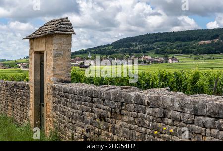 Chassagne-Montrachet, Francia - 29 giugno 2020: Vigneto Domaine Leflaive con cancello e villaggio in Borgogna, Francia. Foto Stock