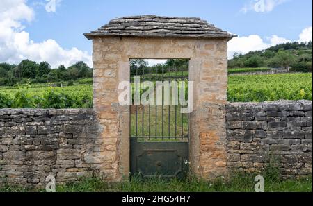 Chassagne-Montrachet, Francia - 29 giugno 2020: Vigneto Domaine Leflaive con cancello in Borgogna, Francia. Foto Stock