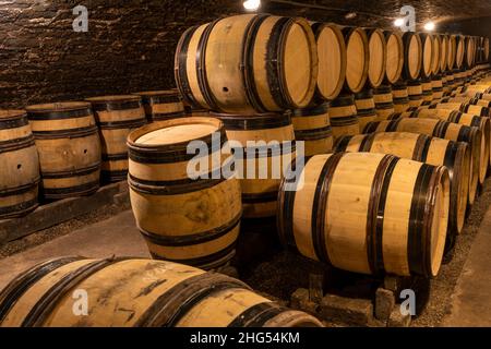Meursault, Francia - 2 luglio 2020: Botti di vino nella cantina del domaine Ropiteau Freres, Meursault, borgogna, Francia. Foto Stock