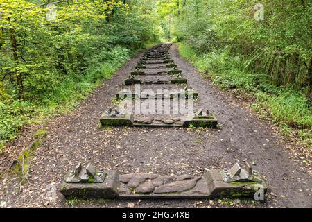 'Iron Road' di Keir Smith, 1986 sulla Foresta di Dean Sculpture Trail vicino a Cannop, Coleford, Gloucestershire.UK Foto Stock