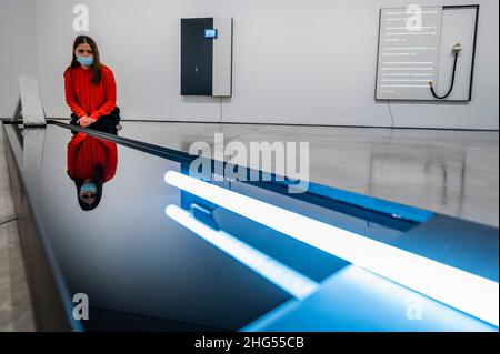 Londra, Regno Unito. 18th Jan 2022. Perpetatore, 2020 - Wang Gongxin - tra una nuova mostra in corso dal 19 gennaio al 26 febbraio 2022 a White Cube, Mason's Yard. Credit: Guy Bell/Alamy Live News Foto Stock