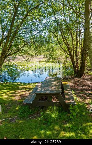Un tavolo da picnic in legno vicino al lago Panther nel Kent, Washington. Foto Stock