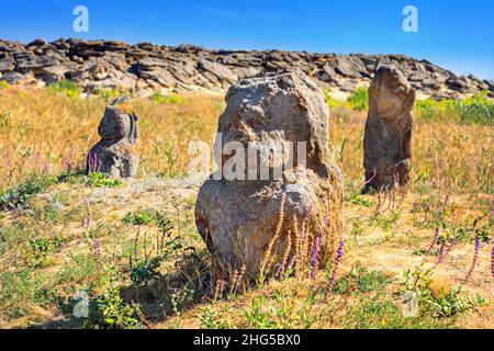 Vista delle antiche stele di kurgan, idoli di pietra, nella steppa nel sud dell'Ucraina, da vicino in una giornata estiva soleggiata Foto Stock