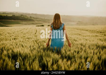 Vista posteriore a giovane donna incinta in abito blu in campo estivo Foto Stock