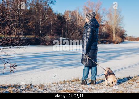 Donna che cammina cane pug nel parco nevoso invernale da lago ghiacciato tenendo guinzaglio. Cucciolo indossare imbracatura guardando il paesaggio. Accessori per animali Foto Stock