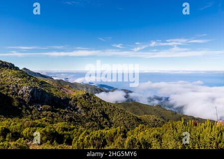 Vista sopra le nuvole nella montagna Achada do Teixeira sull'isola di Madeira in una giornata invernale Foto Stock