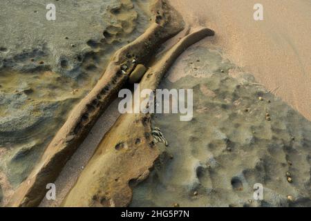 Rock, close up, still life, belle arti, bellezza nella natura, Intrusione venosa, geologia, habitat balneare, bassa marea, Balito, Sudafrica, erosione, tempo Foto Stock