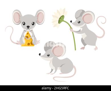 Grazioso piccolo mouse grigio sedersi sul pavimento e tenere premuto il formaggio. Animali Cartoon character design. Piatto illustrazione vettore isolato su sfondo bianco. Illustrazione Vettoriale