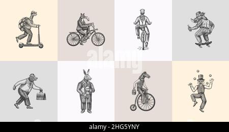 Volpe in bicicletta, giocoliere Cat, tartaruga su uno scooter. Orso, cavallo, lepre, gufo, calamaro. Set di personaggi di Fashion Animal. Schizzo disegnato a mano. Incisione vettoriale Illustrazione Vettoriale